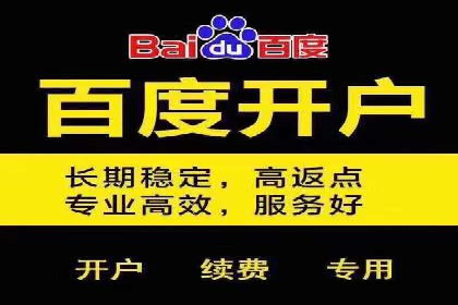 百度竞价托管公司案例：揭秘广告投放成功秘诀